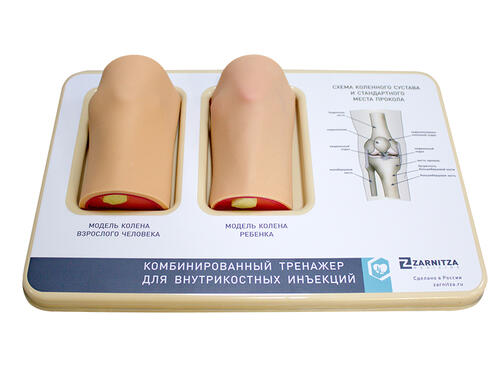 Комбинированный тренажер для внутрикостных инъекций М0414